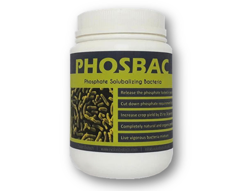 Phosbac - Phosphate solubilizing bacteria